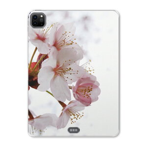 iPad Pro 11 ��2���� 2020�N�� �p �P�[�X �\�t�g TPU�P�[�X A2228 A2068 A2230 �Ή� �^�u���b�g�P�[�X �^�u���b�g�J�o�[ 012849 ���@�ԁ@�t