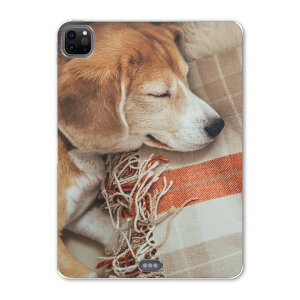 iPad Pro 11 2 2020N p P[X \tg TPUP[X A2228 A2068 A2230 Ή ^ubgP[X ^ubgJo[ 014838 @Q