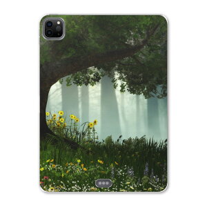 iPad Pro 11 ��2���� 2020�N�� �p �P�[�X �\�t�g TPU�P�[�X A2228 A2068 A2230 �Ή� �^�u���b�g�P�[�X �^�u���b�g�J�o�[ 016172 �؁@����