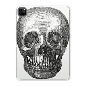 iPad Pro 11 ��2���� 2020�N�� �p �P�[�X �\�t�g TPU�P�[�X A2228 A2068 A2230 �Ή� �^�u���b�g�P�[�X �^�u���b�g�J�o�[ 017477 �n���E�B���@�z���[ ���A���@�[���@�z���[
