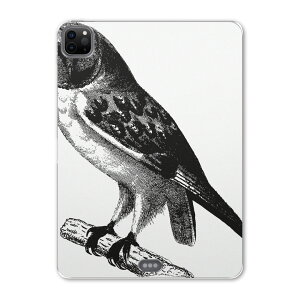 iPad Pro 11 ��2���� 2020�N�� �p �P�[�X �\�t�g TPU�P�[�X A2228 A2068 A2230 �Ή� �^�u���b�g�P�[�X �^�u���b�g�J�o�[ 017479 �n���E�B���@�z���[ ���A���@�t�N���E�@��