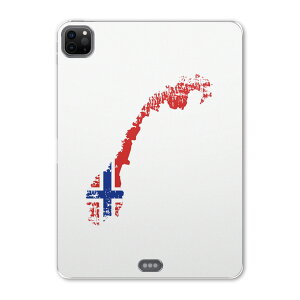 iPad Pro 12.9inch 2020f 4 ACpbhv 12.9C` ^ubgP[X ^ubgJo[ TPU \tgP[X A2229 A2069 A2232 A2233 018910  norway mEF[