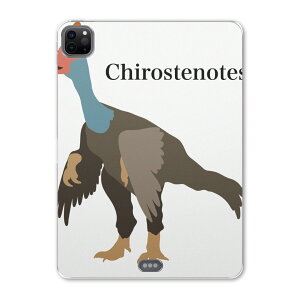 iPad Pro 11 2 2020N p P[X \tg TPUP[X A2228 A2068 A2230 Ή ^ubgP[X ^ubgJo[ 019774   Chirostenotes LXemeX