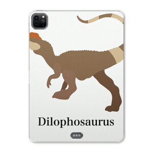 iPad Pro 11 2 2020N p P[X \tg TPUP[X A2228 A2068 A2230 Ή ^ubgP[X ^ubgJo[ 019783   Dilophosaurus fBtHTEX