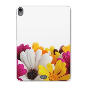 iPad Pro 11inch 1 2018N ACpbhv 11C` ^ubgP[X ^ubgJo[ TPU \tgP[X A1980 A2013 A1934 A1979 000854 ԁ@͗l