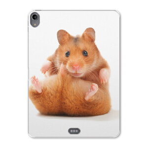 iPad Pro 12.9 3 2019N p P[X \tg TPUP[X A1876 A2014 A1895 Ή ^ubgP[X ^ubgJo[ 001075 Aj} nX^[@