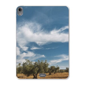 iPad Pro 12.9 3 2019N p P[X \tg TPUP[X A1876 A2014 A1895 Ή ^ubgP[X ^ubgJo[ 002623 ʐ^Ei @iF@ʐ^