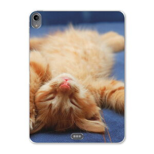 iPad Pro 11inch 1 2018N ACpbhv 11C` ^ubgP[X ^ubgJo[ TPU \tgP[X A1980 A2013 A1934 A1979 002759 L@@ʐ^