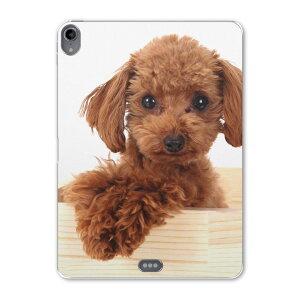 iPad Pro 12.9 3 2019N p P[X \tg TPUP[X A1876 A2014 A1895 Ή ^ubgP[X ^ubgJo[ 002769 Aj} @@ʐ^