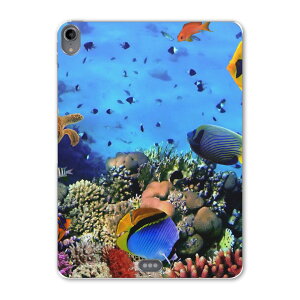 iPad Pro 12.9 3 2019N p P[X \tg TPUP[X A1876 A2014 A1895 Ή ^ubgP[X ^ubgJo[ 002823 ʐ^Ei C@ʐ^@Jt