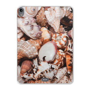 iPad Pro 12.9 3 2019N p P[X \tg TPUP[X A1876 A2014 A1895 Ή ^ubgP[X ^ubgJo[ 002925 ʐ^Ei C@Lk@ʐ^