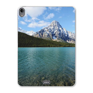 iPad Pro 11inch 1 2018N ACpbhv 11C` ^ubgP[X ^ubgJo[ TPU \tgP[X A1980 A2013 A1934 A1979 003291 O@ʐ^@iF@i