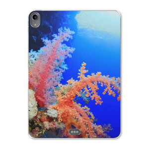 iPad Pro 11inch 1 2018N ACpbhv 11C` ^ubgP[X ^ubgJo[ TPU \tgP[X A1980 A2013 A1934 A1979 003341 C@ʐ^@iF@i