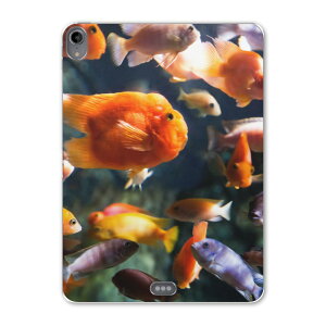 iPad Pro 12.9 3 2019N p P[X \tg TPUP[X A1876 A2014 A1895 Ή ^ubgP[X ^ubgJo[ 003538 ʐ^Ei @C@ʐ^