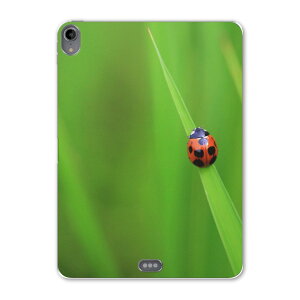 iPad Pro 11inch 1 2018N ACpbhv 11C` ^ubgP[X ^ubgJo[ TPU \tgP[X A1980 A2013 A1934 A1979 003604 ĂƂ@ʐ^