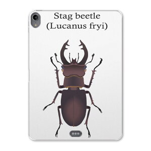 iPad Pro 11 1 2018N p P[X \tg TPUP[X A1980 A2013 A1934 Ή ^ubgP[X ^ubgJo[ 020007  stag beetle NK^V