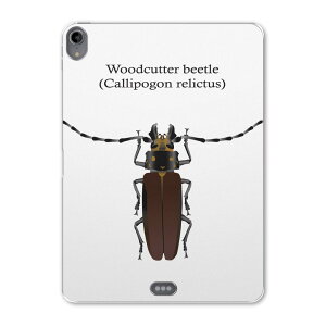 iPad Pro 11 1 2018N p P[X \tg TPUP[X A1980 A2013 A1934 Ή ^ubgP[X ^ubgJo[ 020010   EbhJb^[JugV