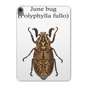 iPad Pro 11 1 2018N p P[X \tg TPUP[X A1980 A2013 A1934 Ή ^ubgP[X ^ubgJo[ 020014   polyphylla fullo qQRKl