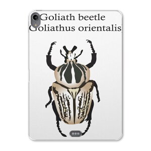 iPad Pro 11 1 2018N p P[X \tg TPUP[X A1980 A2013 A1934 Ή ^ubgP[X ^ubgJo[ 020015   SCAXIIJugV