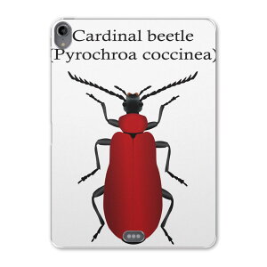 iPad Pro 11 1 2018N p P[X \tg TPUP[X A1980 A2013 A1934 Ή ^ubgP[X ^ubgJo[ 020016   J[fBiEJugV