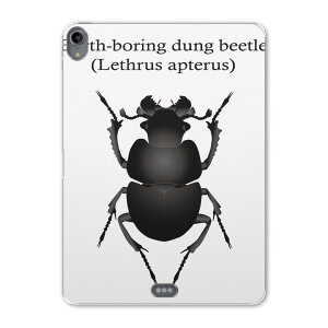 iPad Pro 11 1 2018N p P[X \tg TPUP[X A1980 A2013 A1934 Ή ^ubgP[X ^ubgJo[ 020017   lethrus apterus IILoZ`