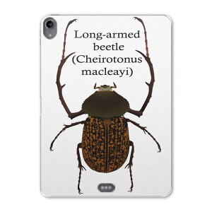 iPad Pro 11 1 2018N p P[X \tg TPUP[X A1980 A2013 A1934 Ή ^ubgP[X ^ubgJo[ 020019   蒷JugV