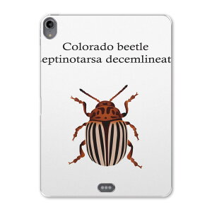 iPad Pro 11 1 2018N p P[X \tg TPUP[X A1980 A2013 A1934 Ή ^ubgP[X ^ubgJo[ 020022   colorado beetle RhnV