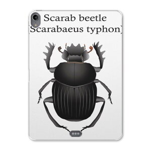 iPad Pro 11 1 2018N p P[X \tg TPUP[X A1980 A2013 A1934 Ή ^ubgP[X ^ubgJo[ 020024   scarab beetle XJxJugV