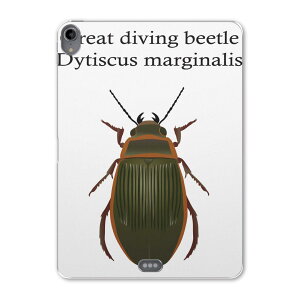 iPad Pro 11 1 2018N p P[X \tg TPUP[X A1980 A2013 A1934 Ή ^ubgP[X ^ubgJo[ 020026   great diving beetle G]QSE