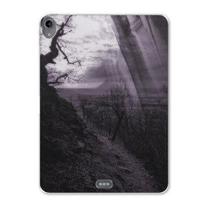 iPad Pro 12.9 3 2019N p P[X \tg TPUP[X A1876 A2014 A1895 Ή ^ubgP[X ^ubgJo[ 004903 ʐ^Ei @CXg@