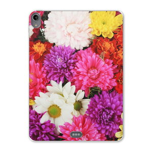 iPad Pro 11inch 1 2018N ACpbhv 11C` ^ubgP[X ^ubgJo[ TPU \tgP[X A1980 A2013 A1934 A1979 005495 ʐ^@ԁ@t[