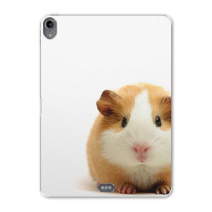 iPad Pro 11inch 1 2018N ACpbhv 11C` ^ubgP[X ^ubgJo[ TPU \tgP[X A1980 A2013 A1934 A1979 006036 ʐ^@@nX^[