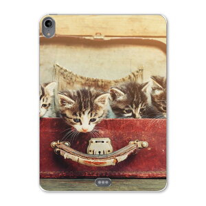 iPad Pro 11inch 1 2018N ACpbhv 11C` ^ubgP[X ^ubgJo[ TPU \tgP[X A1980 A2013 A1934 A1979 008717 ʐ^@L@lR@Jo@