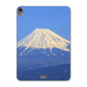 iPad Pro 11inch 1 2018N ACpbhv 11C` ^ubgP[X ^ubgJo[ TPU \tgP[X A1980 A2013 A1934 A1979 009599 xmR@i@iF@ʐ^