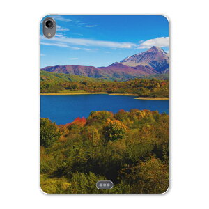 iPad Pro 11inch 1 2018N ACpbhv 11C` ^ubgP[X ^ubgJo[ TPU \tgP[X A1980 A2013 A1934 A1979 009833 i@iF@ʐ^