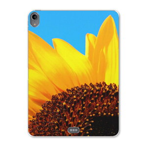 iPad Pro 11inch 1 2018N ACpbhv 11C` ^ubgP[X ^ubgJo[ TPU \tgP[X A1980 A2013 A1934 A1979 011439 ԁ@Ђ܂@ʐ^