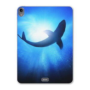 iPad Pro 12.9 ��3���� 2019�N�� �p �P�[�X �\�t�g TPU�P�[�X A1876 A2014 A1895 �Ή� �^�u���b�g�P�[�X �^�u���b�g�J�o�[ 012652 ���@������@�C