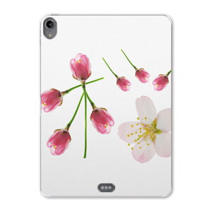 iPad Pro 11inch ��1���� 2018�N �A�C�p�b�h�v�� 11�C���` �^�u���b�g�P�[�X �^�u���b�g�J�o�[ TPU �\�t�g�P�[�X A1980 A2013 A1934 A1979 012850 ���@�ԁ@�t