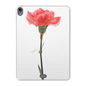 iPad Pro 11inch 1 2018N ACpbhv 11C` ^ubgP[X ^ubgJo[ TPU \tgP[X A1980 A2013 A1934 A1979 012935 ̓@J[l[V@