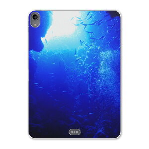 iPad Pro 11inch 1 2018N ACpbhv 11C` ^ubgP[X ^ubgJo[ TPU \tgP[X A1980 A2013 A1934 A1979 014468 C@[C@ʐ^