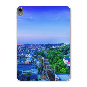 iPad Pro 11inch ��1���� 2018�N �A�C�p�b�h�v�� 11�C���` �^�u���b�g�P�[�X �^�u���b�g�J�o�[ TPU �\�t�g�P�[�X A1980 A2013 A1934 A1979 014667 ���i�@�i�F�@��