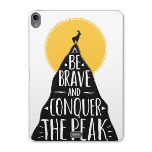 iPad Pro 12.9 ��3���� 2019�N�� �p �P�[�X �\�t�g TPU�P�[�X A1876 A2014 A1895 �Ή� �^�u���b�g�P�[�X �^�u���b�g�J�o�[ 016481 �p��@���m�N���@�p��