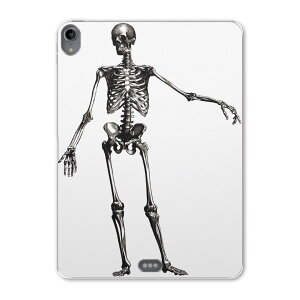 iPad Pro 11 ��1���� 2018�N�� �p �P�[�X �\�t�g TPU�P�[�X A1980 A2013 A1934 �Ή� �^�u���b�g�P�[�X �^�u���b�g�J�o�[ 017480 �n���E�B���@�z���[ ���A���@�[���@�K�C�R�c�@�z���[
