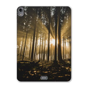 iPad Pro 11 1 2018N p P[X \tg TPUP[X A1980 A2013 A1934 Ή ^ubgP[X ^ubgJo[ 018321 X ʐ^