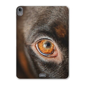 iPad Pro 11 ��1���� 2018�N�� �p �P�[�X �\�t�g TPU�P�[�X A1980 A2013 A1934 �Ή� �^�u���b�g�P�[�X �^�u���b�g�J�o�[ 018325 �� �ʐ^
