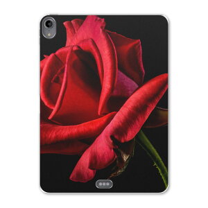 iPad Pro 11 1 2018N p P[X \tg TPUP[X A1980 A2013 A1934 Ή ^ubgP[X ^ubgJo[ 018330 ʐ^ o