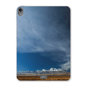 iPad Pro 11 ��1���� 2018�N�� �p �P�[�X �\�t�g TPU�P�[�X A1980 A2013 A1934 �Ή� �^�u���b�g�P�[�X �^�u���b�g�J�o�[ 018336 �R �ʐ^ ��