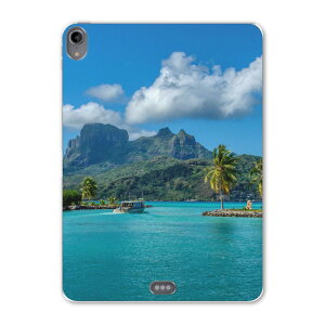 iPad Pro 11 ��1���� 2018�N�� �p �P�[�X �\�t�g TPU�P�[�X A1980 A2013 A1934 �Ή� �^�u���b�g�P�[�X �^�u���b�g�J�o�[ 018342 �C �R �ʐ^ ��