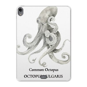 iPad Pro 11 1 2018N p P[X \tg TPUP[X A1980 A2013 A1934 Ή ^ubgP[X ^ubgJo[ 019730 fUC C̐ ^R octopus