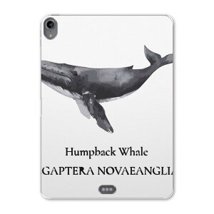 iPad Pro 11 1 2018N p P[X \tg TPUP[X A1980 A2013 A1934 Ή ^ubgP[X ^ubgJo[ 019740 fUC C̐ UgENW Humpback whale